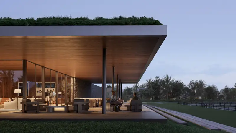 Psychology of home buying